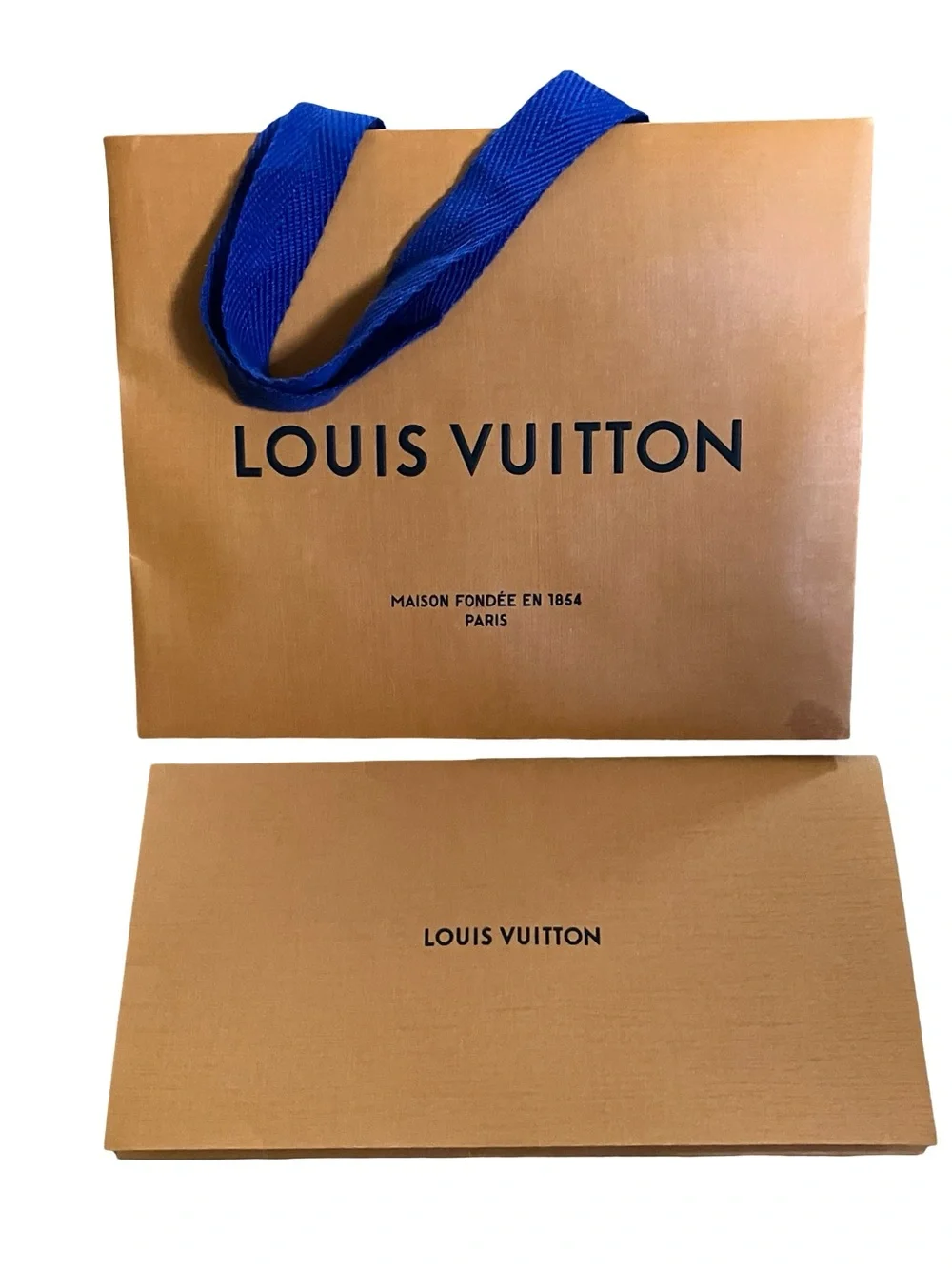 Louis Vuitton authentic louis